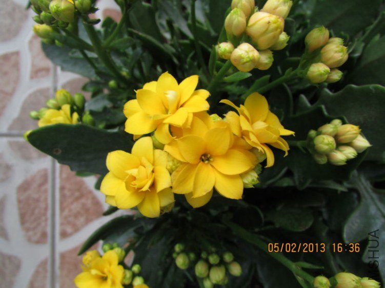 IMG_1958_nEO_IMG.jpg