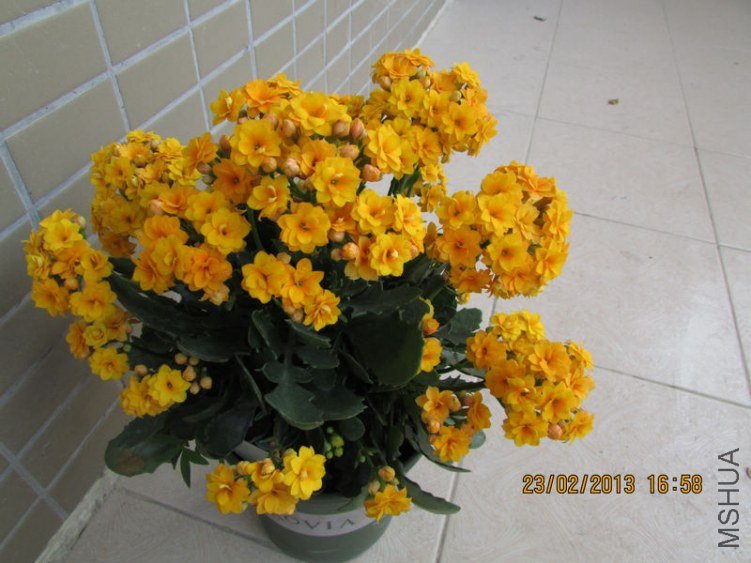 IMG_2684_nEO_IMG.jpg