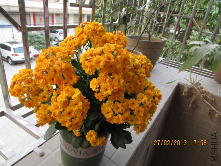IMG_2964_nEO_IMG.jpg