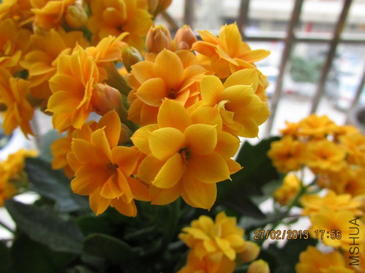 IMG_2966_nEO_IMG.jpg