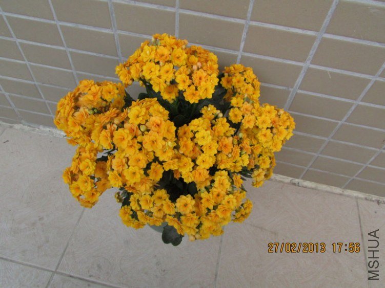 IMG_2967_nEO_IMG.jpg