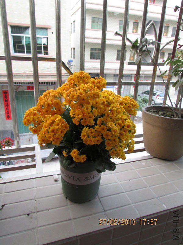 IMG_2973_nEO_IMG.jpg