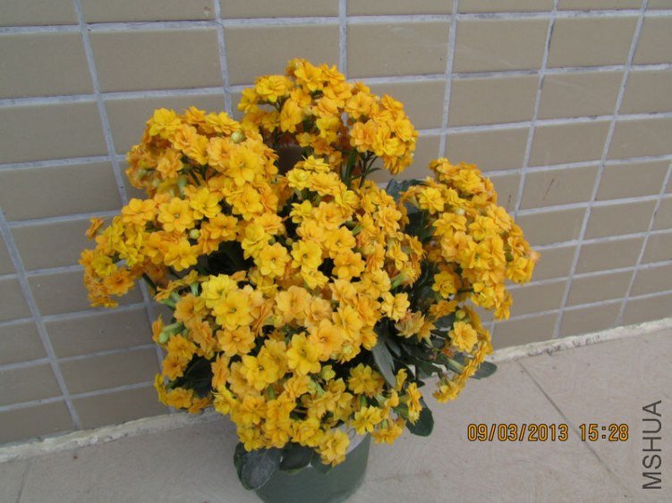 IMG_3408_nEO_IMG.jpg