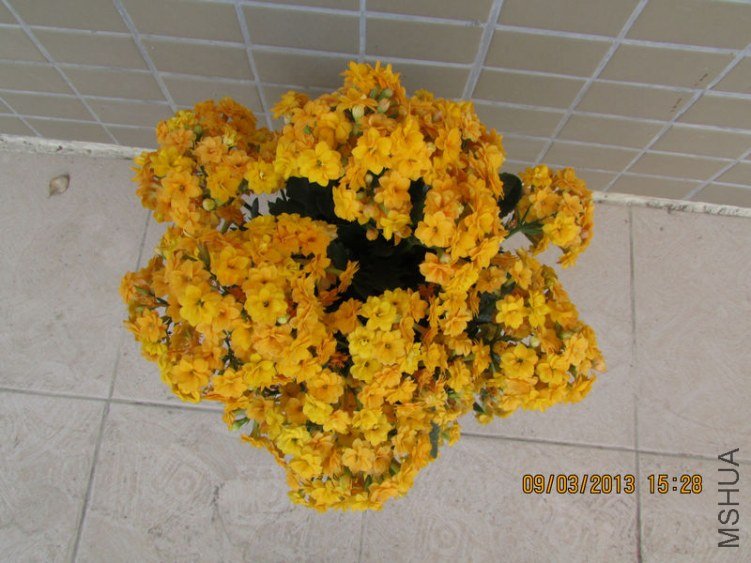 IMG_3409_nEO_IMG.jpg