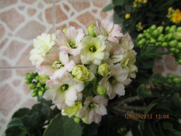 IMG_2322_nEO_IMG.jpg