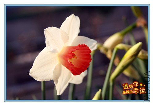 ��Ƭ 041_����.jpg