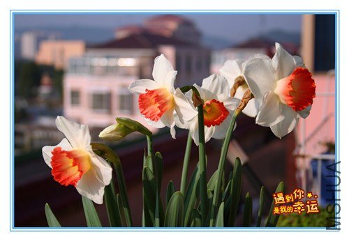 ��Ƭ 035_����.jpg