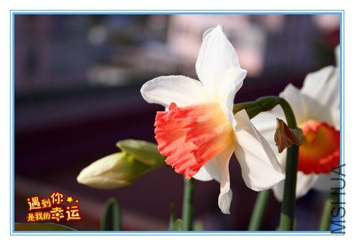 ��Ƭ 038_����.jpg