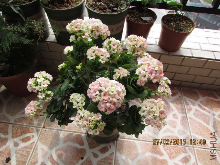 IMG_2905_nEO_IMG.jpg