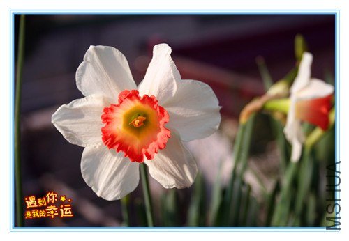 ��Ƭ 040_����.jpg