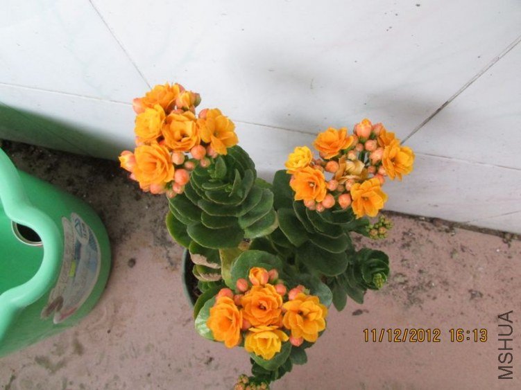 IMG_0762_nEO_IMG.jpg