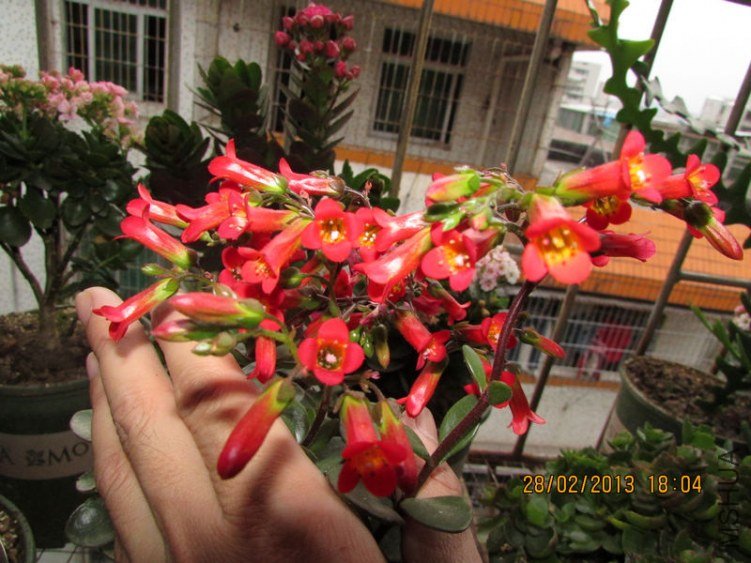 IMG_3018_nEO_IMG.jpg
