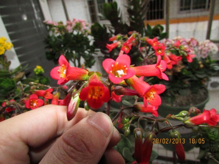 IMG_3023_nEO_IMG.jpg