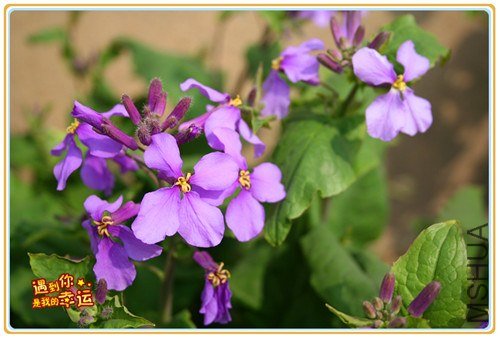 ��Ƭ 020_����.jpg