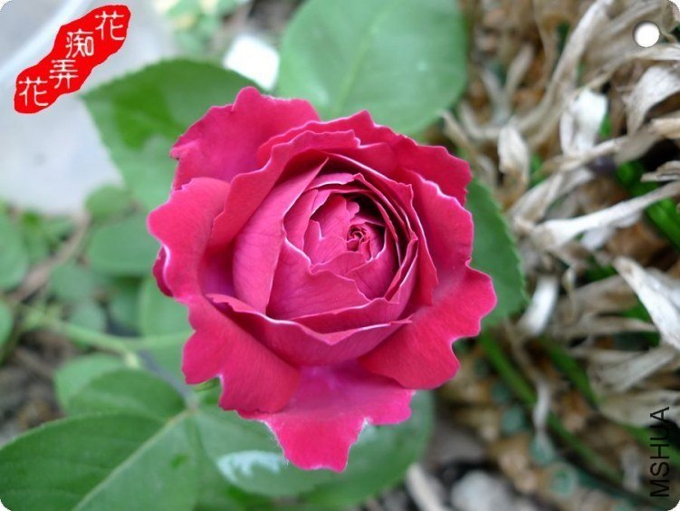 �������3 of sputnikyou.jpg