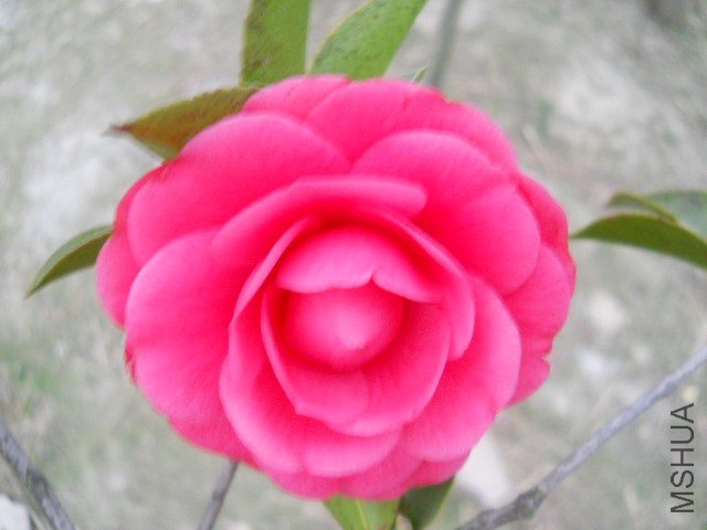 DSCN0997.JPG