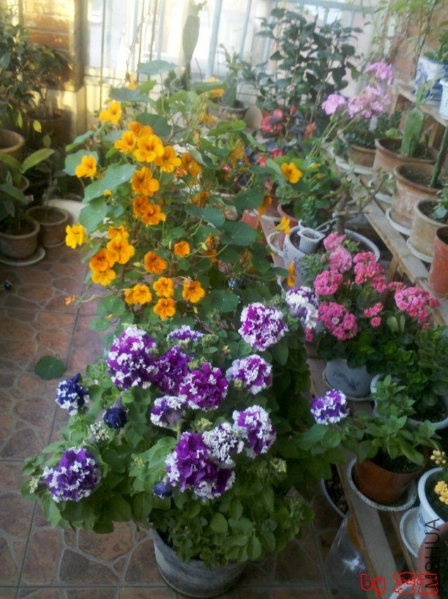 2013-03-10_07-00-43_405.jpg