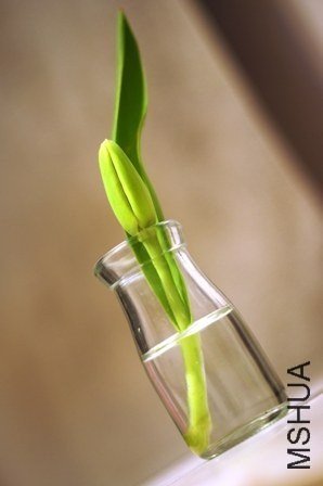 2  2013 03 05.JPG