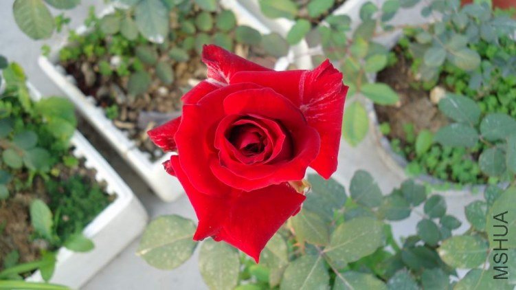DSC03019.JPG