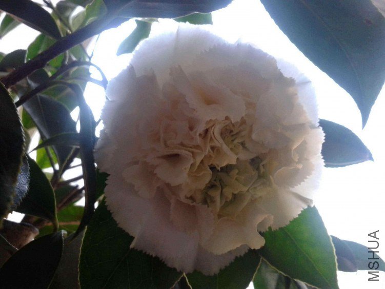 20130311_074852.jpg