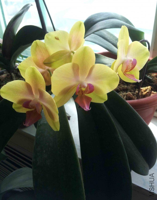 ��Щ�����������ڻ����Ե��ģ����ʱ��û�л���