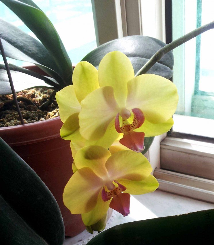 �����ɫ�о�ͦ�ɾ��ģ�����һ�ְ����ĸо���