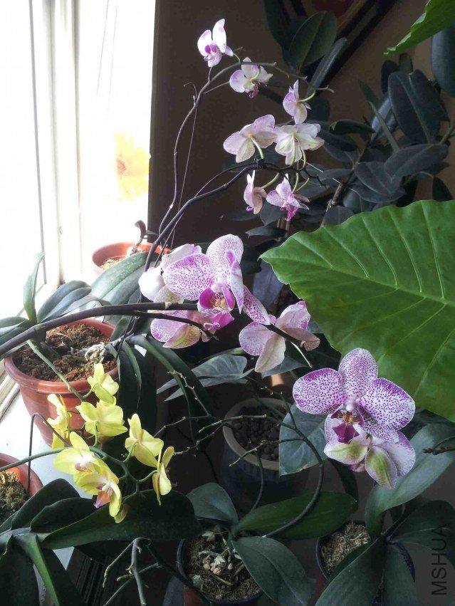 ������ǱȽ��ֵ���ɫ�ˡ�