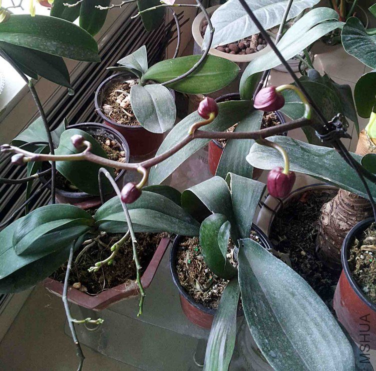 ���������ɫ��Ԥ�ƹ�����¾ͻῪ�š�