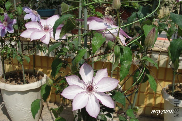 nEO_IMG_DSC09984.jpg