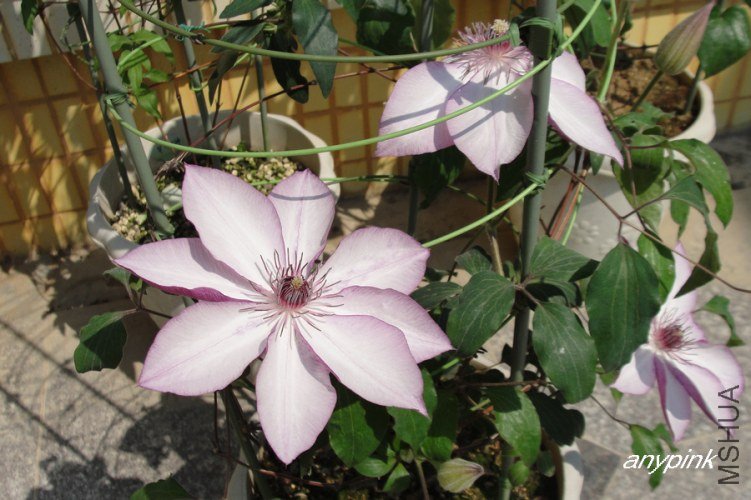 nEO_IMG_DSC09978.jpg