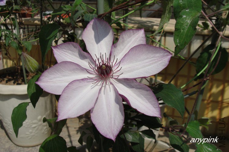 nEO_IMG_DSC09983.jpg