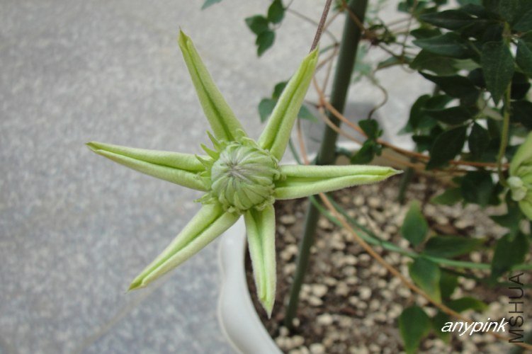 nEO_IMG_DSC09997.jpg