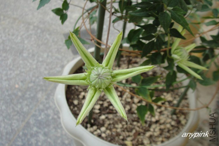 nEO_IMG_DSC09998.jpg