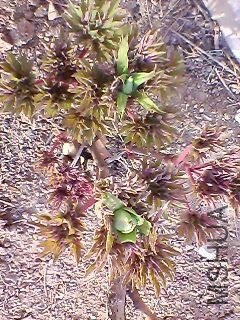 130311A096.jpg