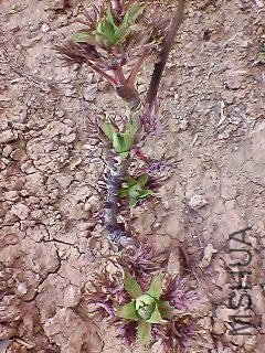 130311A091.jpg