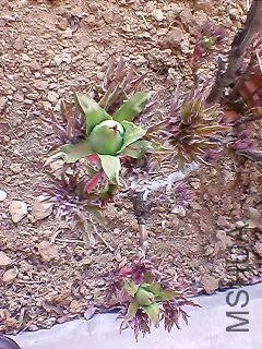 130311A093.jpg