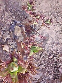 130311A094.jpg