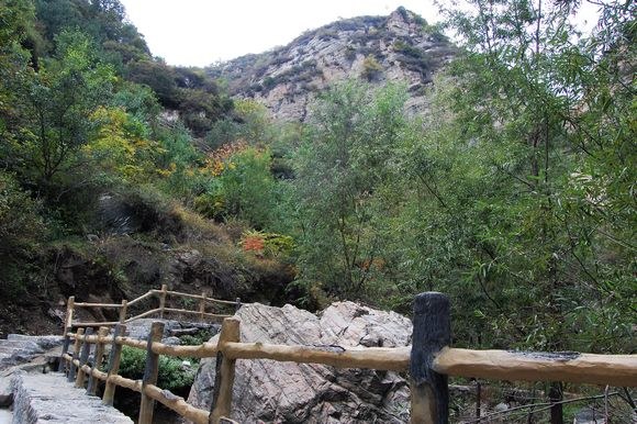 DSC_0140.JPG