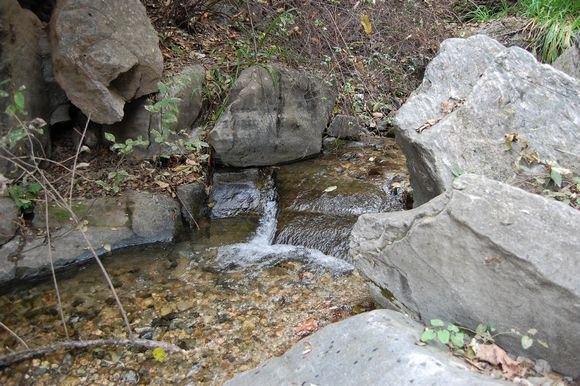 DSC_0144.JPG