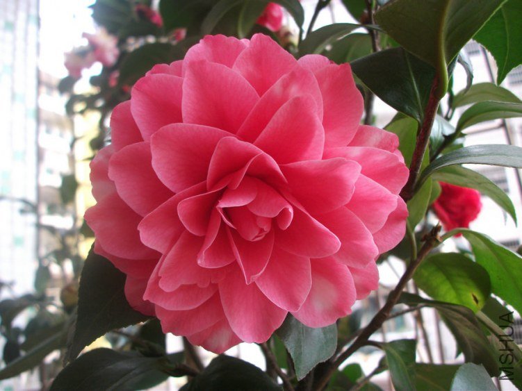 DSCF3134.jpg