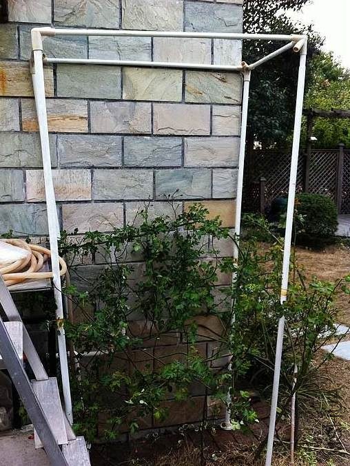 �����´��˸�����-MS��С