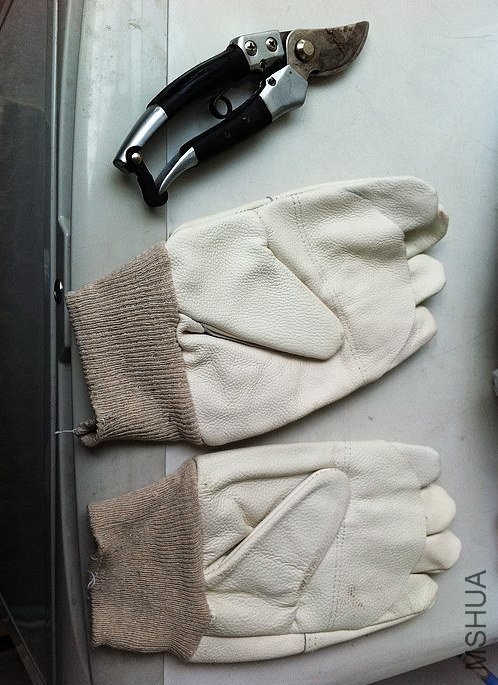 ���������� ����������