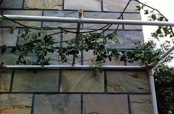 ���Ͽ���