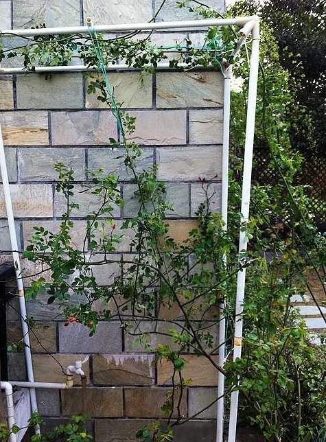 ����ǣ��