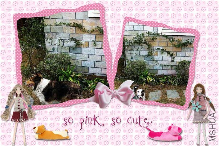 ����һ�괺�ô�~