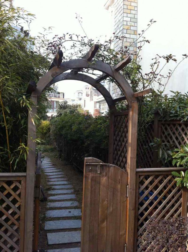 ������������צ��������ô�죿�ǰ������ϣ�������Ҫ��֦��