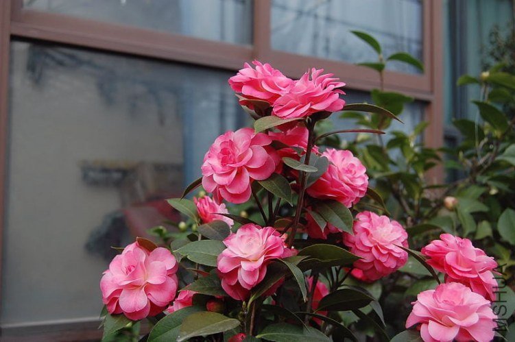 DSC_01220122.JPG
