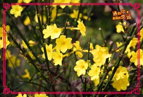 ��Ƭ 026_����.jpg