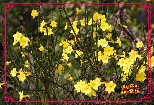 ��Ƭ 024_����.jpg