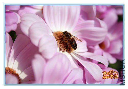 ��Ƭ 005_����.jpg